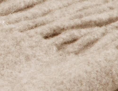 Biederlack Plaid Beige Wool 130 x 170 cm