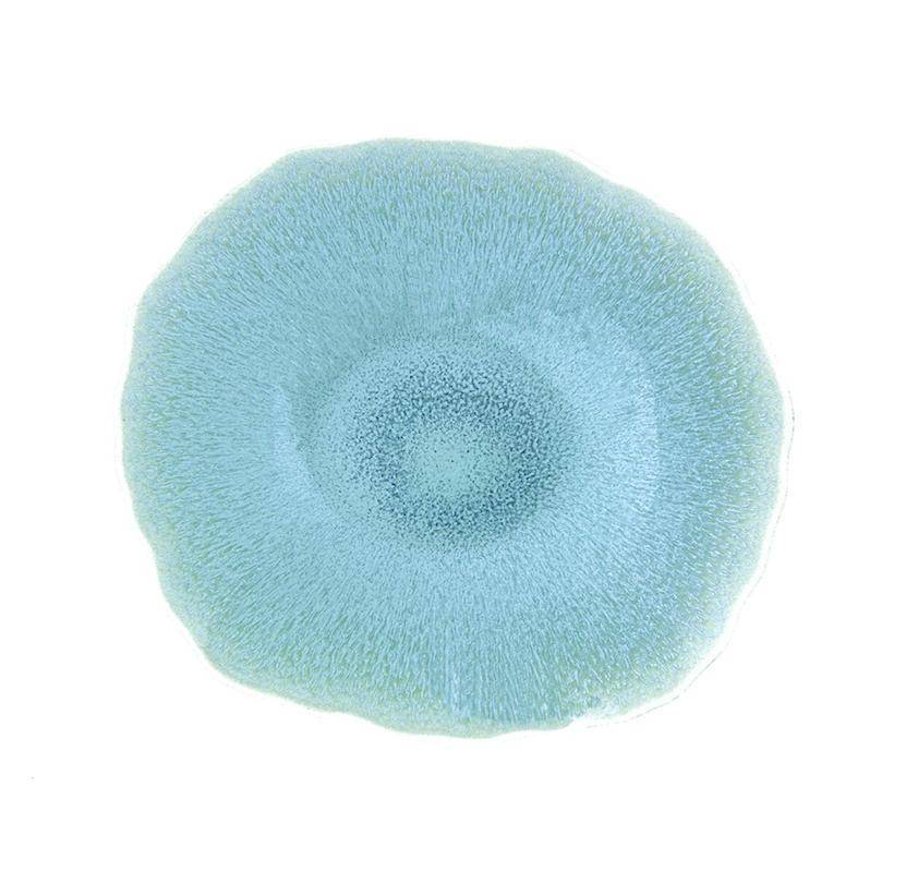 Jars Keramik Plume Fb.Atoll Speiseteller XL