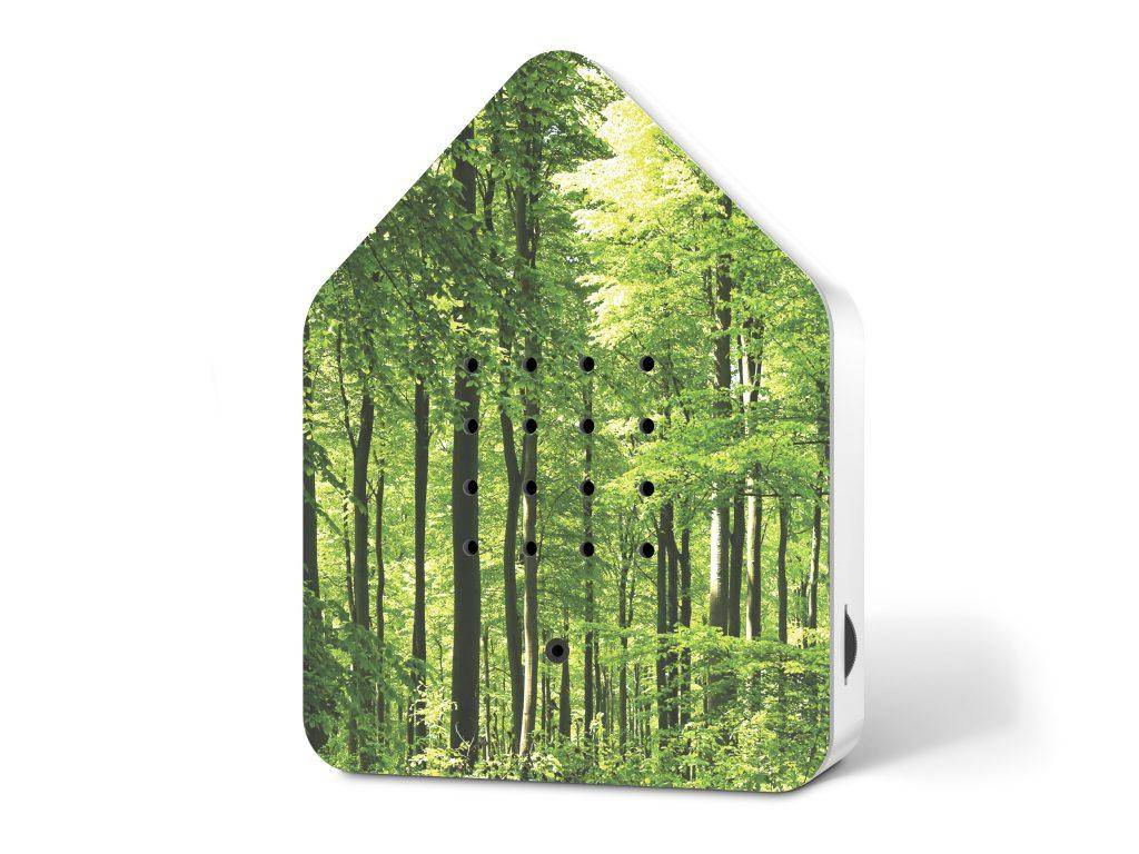 Zwitscherbox Forest - Waldmotiv