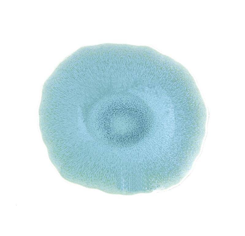 Jars Keramik Plume Fb.Atoll Dessertteller 22 x 20 cm