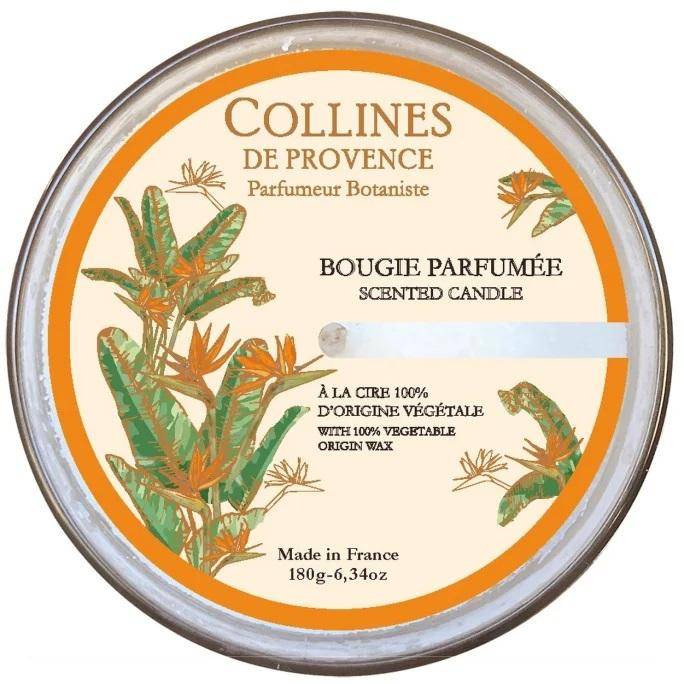 Von Collines De Provence - Duftkerze Paradiesblume 180 g