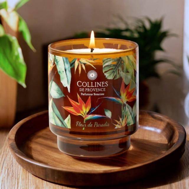 Von Collines De Provence - Duftkerze Paradiesblume 220g